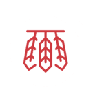 Feather Icon